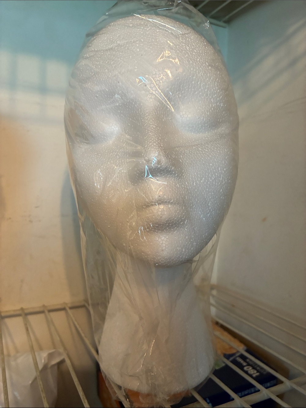 🆕White Styrofoam Female Mannequin Head - Wig Display